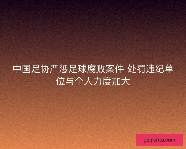 中国足协严惩足球腐败案件 处罚违纪单位与个人力度加大