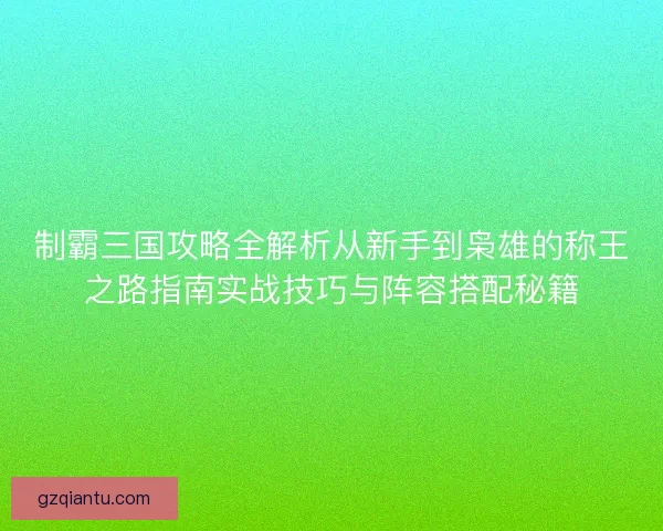 制霸三国攻略全解析从新手到枭雄的称王之路指南实战技巧与阵容搭配秘籍