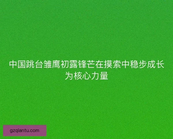 中国跳台雏鹰初露锋芒在摸索中稳步成长为核心力量